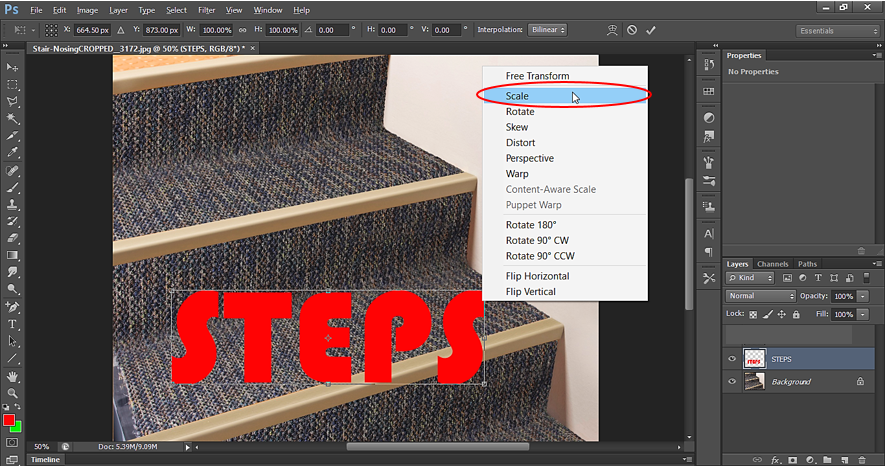 Scale Transform in Photoshop