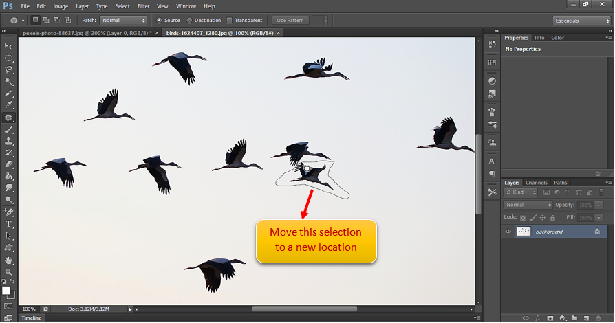 Move Selection to new place using patch tool.PNG