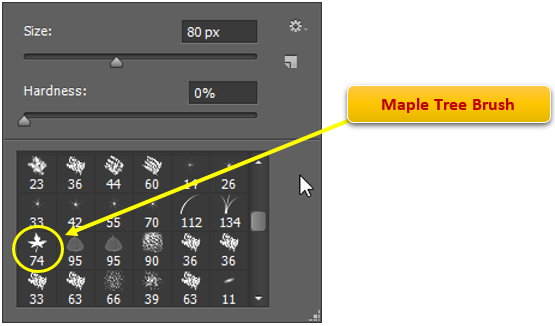 Eraser Tool example Erase a Selection with different brush.PNG