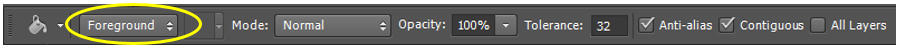 Set Foreground in paint bucket option bar.PNG