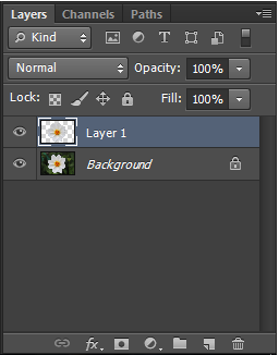 New duplicate Layer